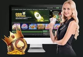 500bet